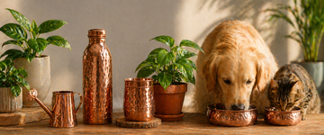 Apa de Cupru pentru Plante și Animale: Vitalitate în Apartament