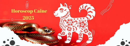 Horoscop Caine si Recomandari Feng shui 2025