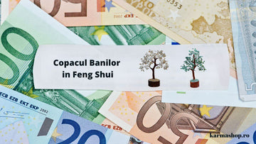 Copacul Banilor în Feng Shui, simbol al prosperității și creșterii