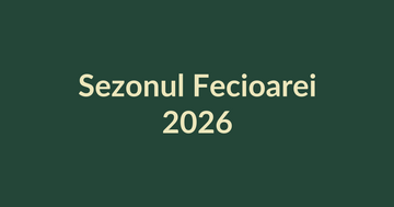Sezonul Fecioarei 2026, ordine, claritate și cristale