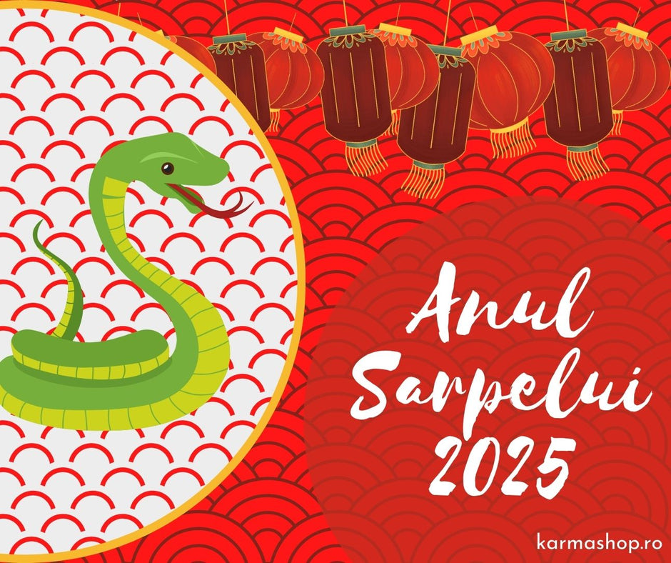 Zodiac Chinezesc 2025 Anul Sarpelui de Lemn